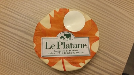  picture  Gewone_plataan |Platanus_hybrida