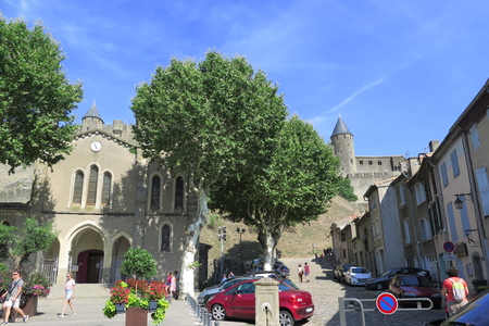  picture  Gewone_plataan |Platanus_hybrida