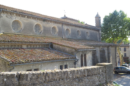  picture  Gewone_plataan |Platanus_hybrida