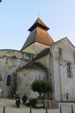  picture  Glansmispel |Photinia_fraseri