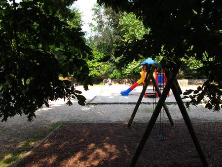  picture  Haagbeuk |Carpinus_betulus