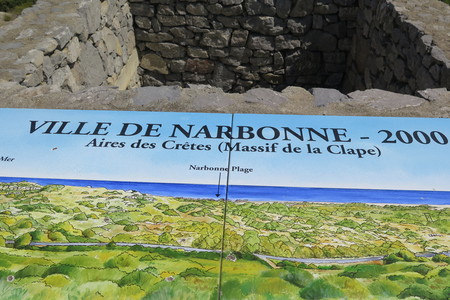  picture  Hulsteik--Kermeseik |Quercus_coccifera