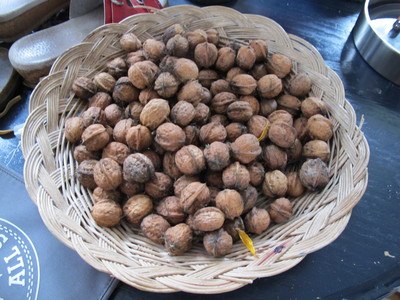  picture  Okkernoot--Walnoot |Juglans_regia