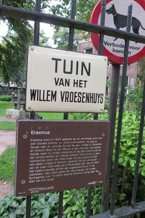  picture  Rode_beuk |Fagus_sylvatica_Atropurpurea