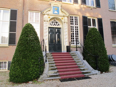  picture  Taxus |Taxus_baccata