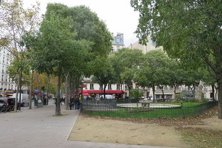  picture  Westerse_Netelboom--Zwepenboom |Celtis_occidentalis