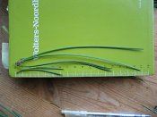 summer photograph naaldboomvergelijk-dennenimg_3245.jpg