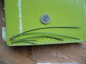 summer photograph naaldboomvergelijk-dennenimg_3246.jpg