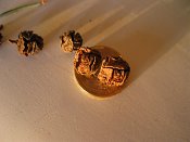 summer photograph onbekende_cypres__cupresses_spec__Unknown_cypressimg_3601.jpg