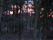 summer photograph walks-nighthatertsevennenimg_1033.jpg