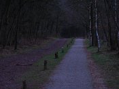 summer photograph walks-nighthatertsevennenimg_1042.jpg