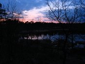 summer photograph walks-nighthatertsevennenimg_1044.jpg