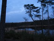 summer photograph walks-nighthatertsevennenimg_1053.jpg