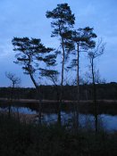 summer photograph walks-nighthatertsevennenimg_1054_rotation.jpg