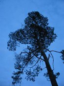 summer photograph walks-nighthatertsevennenimg_1056_rotation.jpg