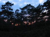 summer photograph walks-nighthatertsevennenimg_1059.jpg