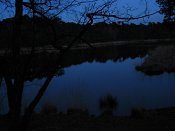 summer photograph walks-nighthatertsevennenimg_1074.jpg