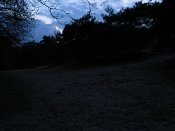 summer photograph walks-nighthatertsevennenimg_1078.jpg