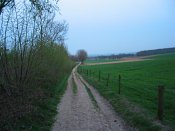 summer photograph walks-zevenheuvelenimg_1806.jpg