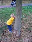 foto bomen: elsfamilie 