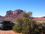 summer photograph shrub_live_oak__Quercus_turbinella_monumentvalleyimg_9362.jpg