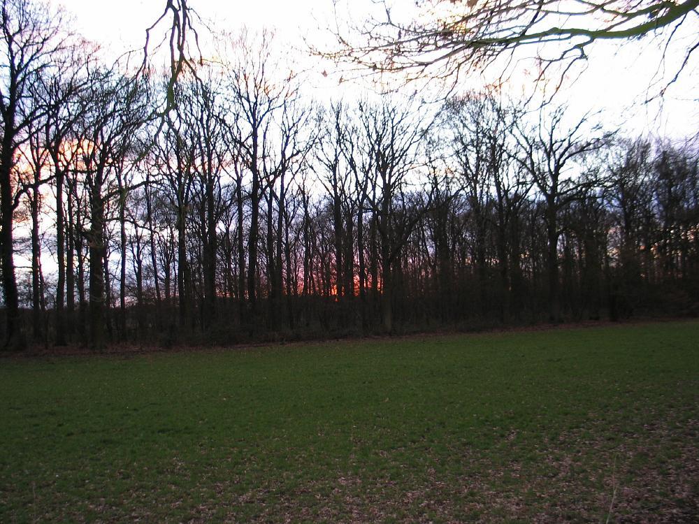 wandelen door het bos