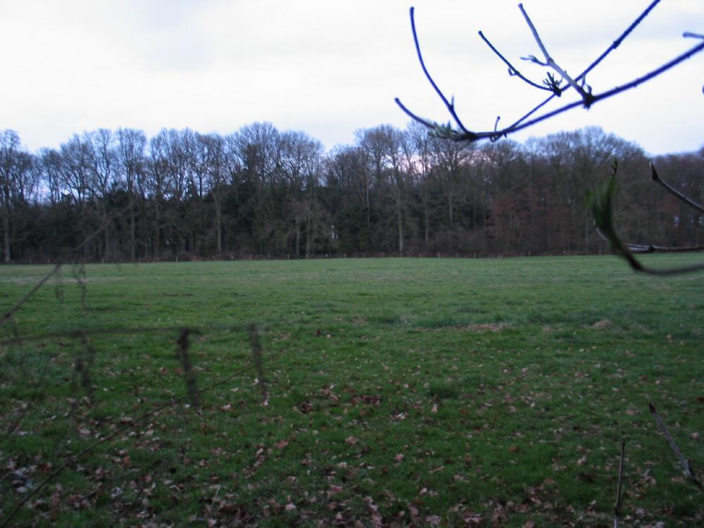 wandelen door het bos