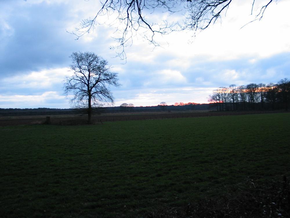 wandelen door het bos