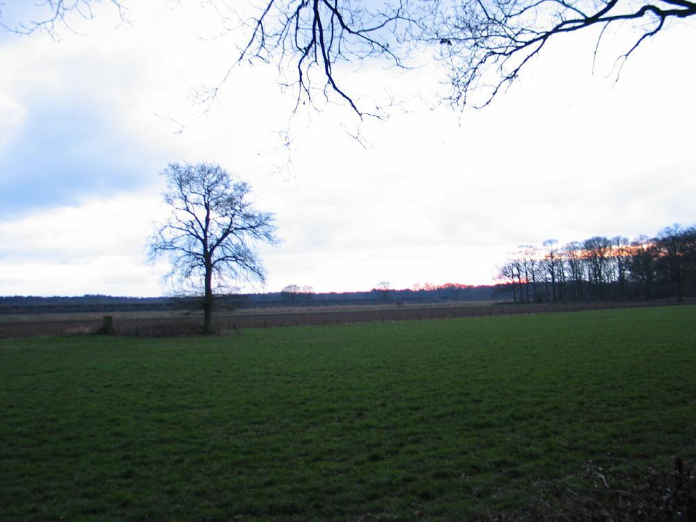 wandelen door het bos