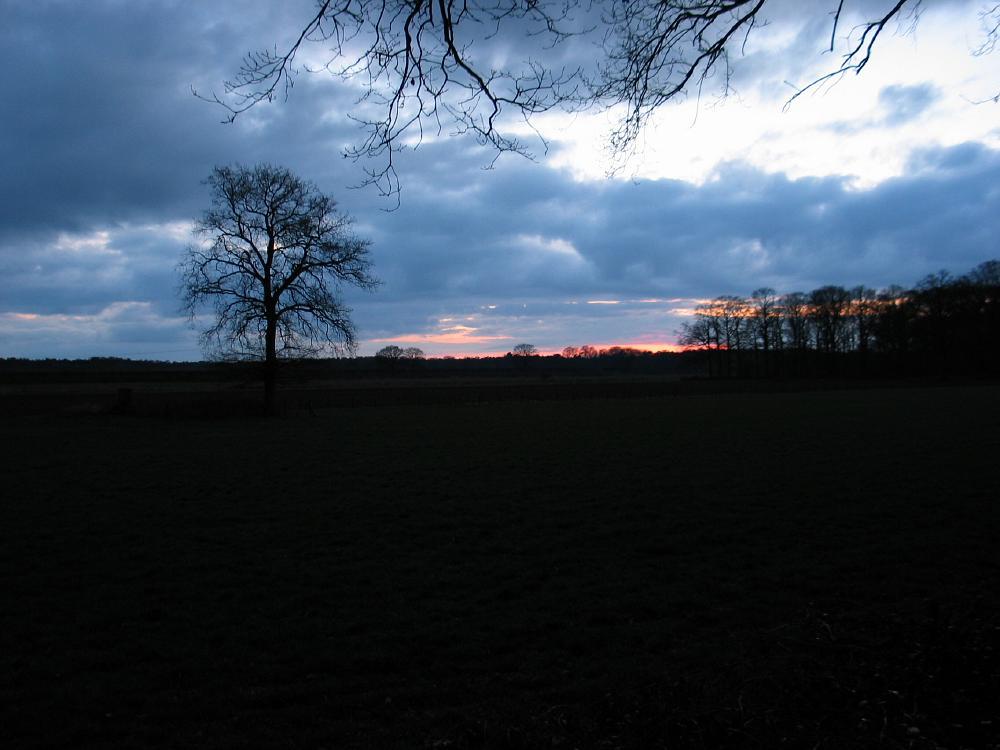 wandelen door het bos