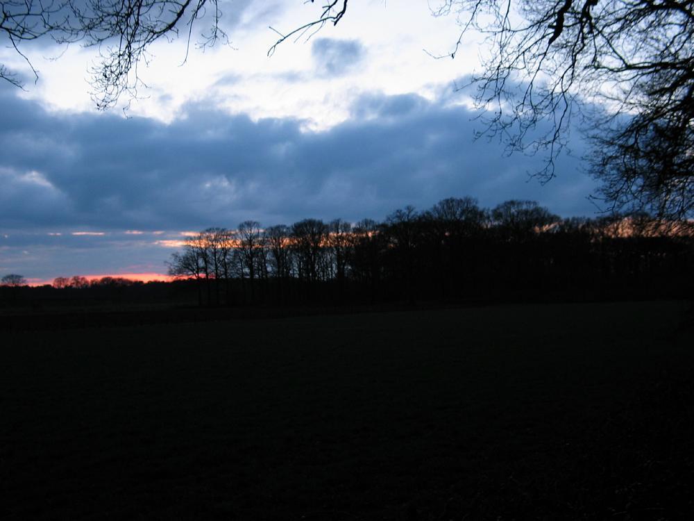 wandelen door het bos