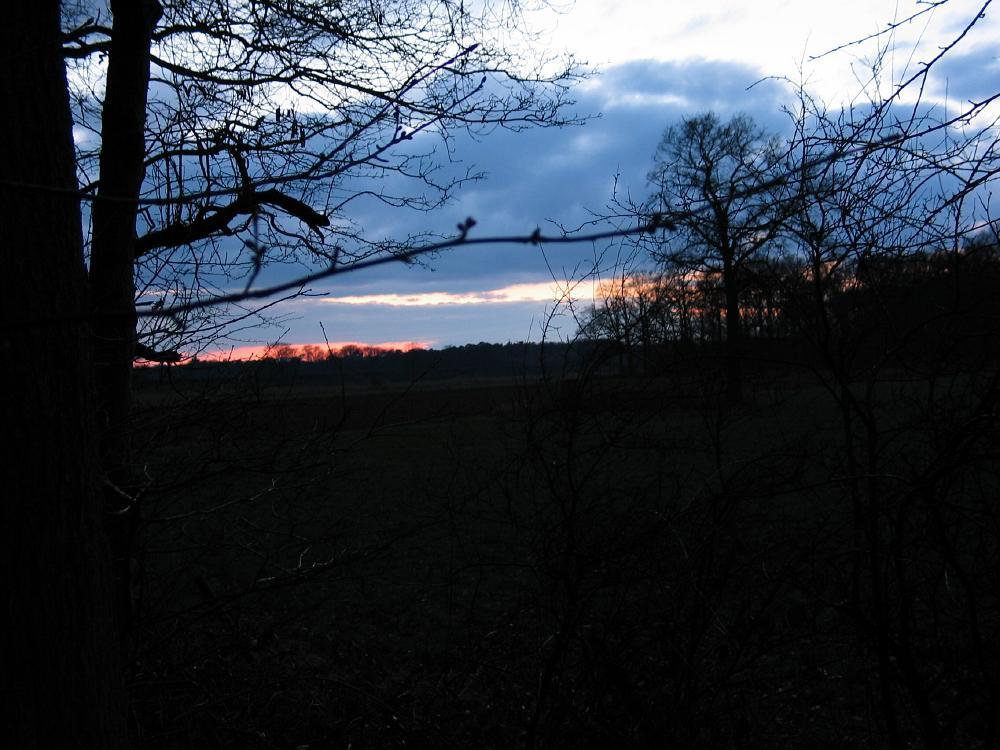 wandelen door het bos