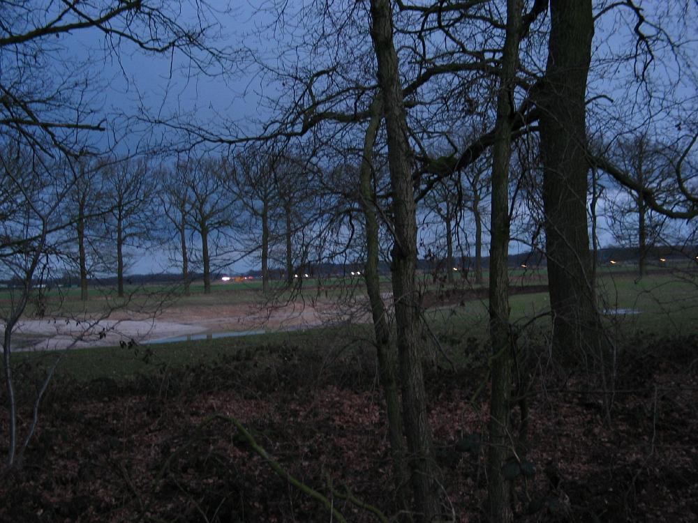 wandelen door het bos