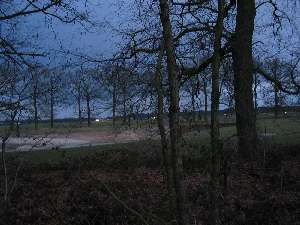 have a walk in the forest