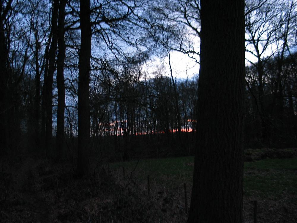 wandelen door het bos