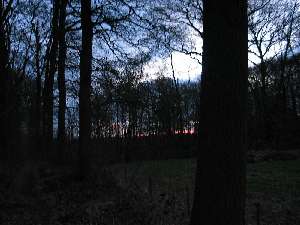 have a walk in the forest