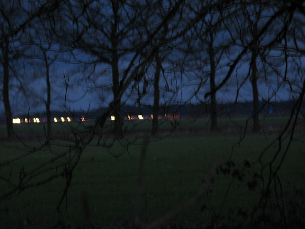 wandelen door het bos